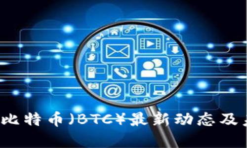 2023年比特币（BTC）最新动态及未来展望