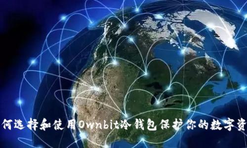 如何选择和使用Ownbit冷钱包保护你的数字资产