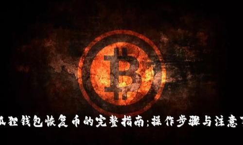 小狐狸钱包恢复币的完整指南：操作步骤与注意事项