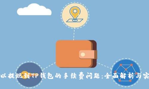 解决欧以提现到TP钱包的手续费问题：全面解析与实用建议